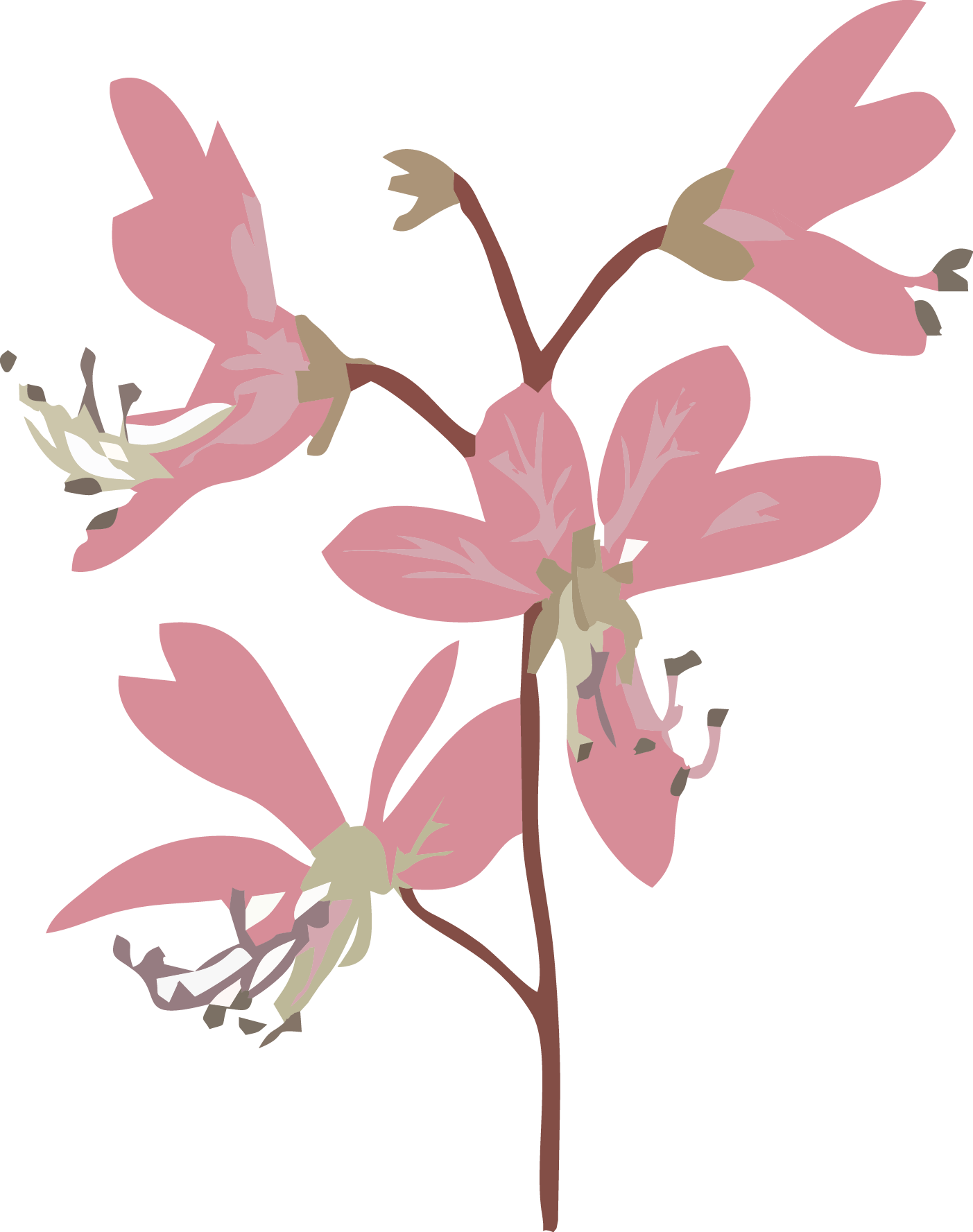 Arte Flora Floristik in Großrinderfeld